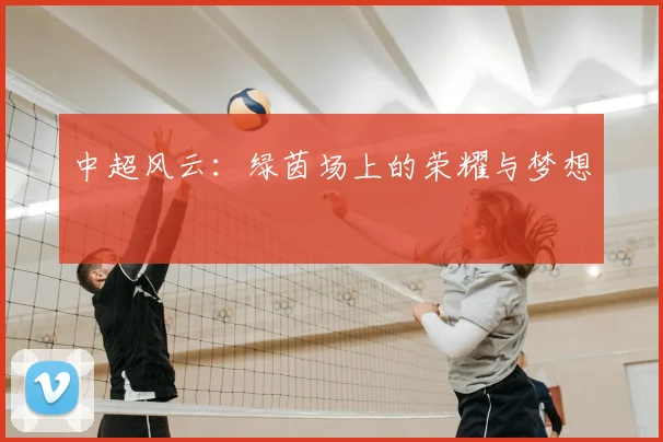 中超风云：绿茵场上的荣耀与梦想